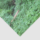 Bergweg Seidenpapier (Detail)