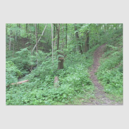 Bergweg Seidenpapier (Vorderseite)
