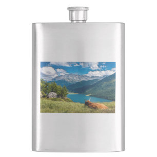 Bergweide Hochlandkuh Flachmann