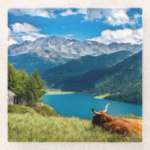 Bergweide Hochlandkuh Glasuntersetzer