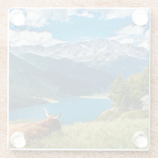 Bergweide Hochlandkuh Glasuntersetzer (Rückseite)