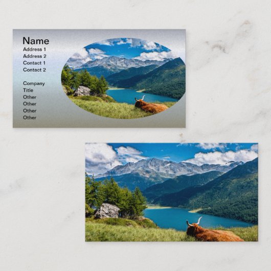 Bergweide Hochlandkuh Visitenkarte (Vorne/Hinten)