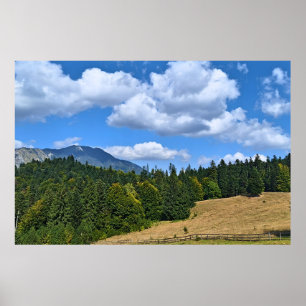 Bergwiesenlandschaft - Wilde Natur Rumänien Poster