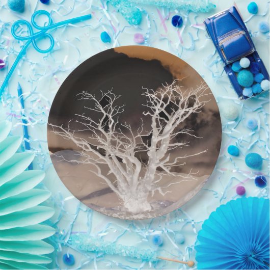 BERGWINTER PAPPTELLER (Party)