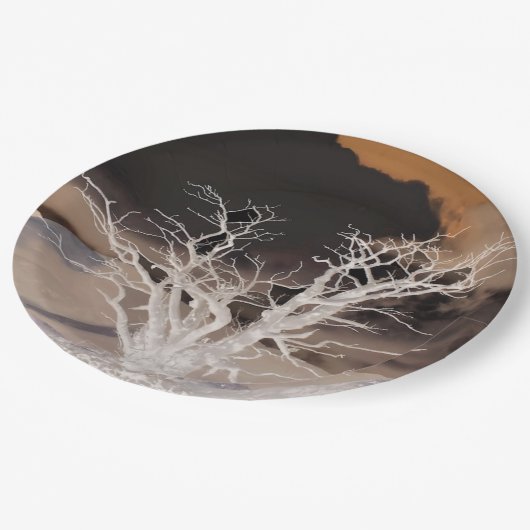 BERGWINTER PAPPTELLER (Schrägansicht)