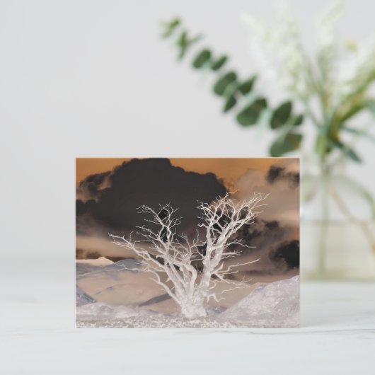 BERGWINTER POSTKARTE (Stehend Vorderseite)