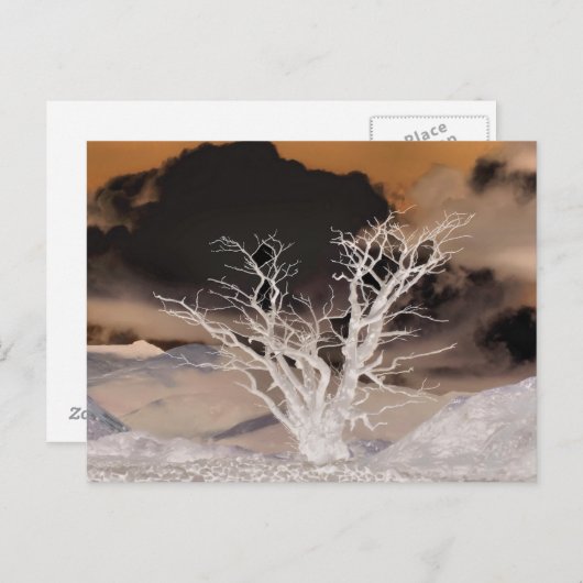 BERGWINTER POSTKARTE (Vorne/Hinten)