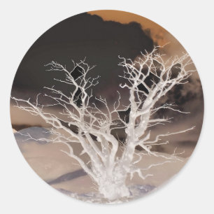 BERGWINTER RUNDER AUFKLEBER