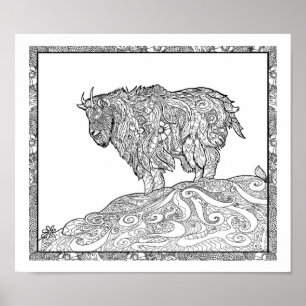 Bergziege Alaskan Poster