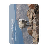 Bergziege, Froze to Death Plateau, Gelbstein Magnet (Vertikal)