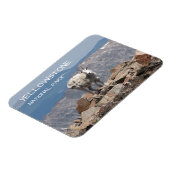 Bergziege, Froze to Death Plateau, Gelbstein Magnet (Linke Seite)