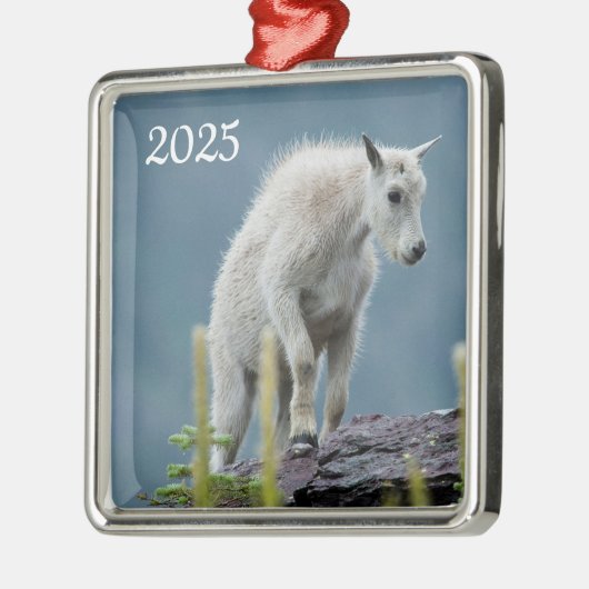 Bergziege, Glacier National Park, Montana Ornament Aus Metall (Links)