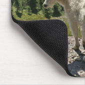 Bergziege im Glacier-Nationalpark Mousepad (Ecke)