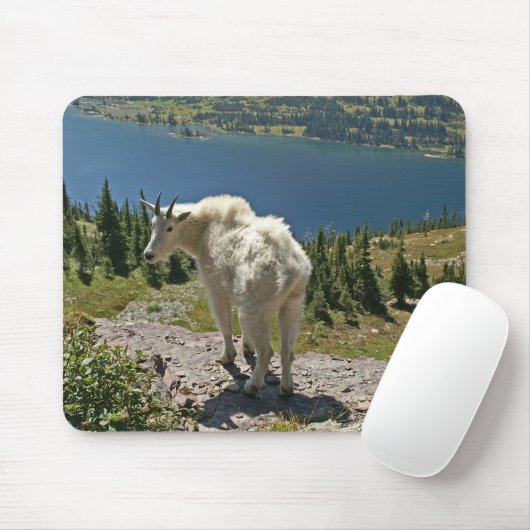 Bergziege im Glacier-Nationalpark Mousepad (Mit Mouse)