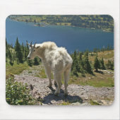 Bergziege im Glacier-Nationalpark Mousepad (Vorne)