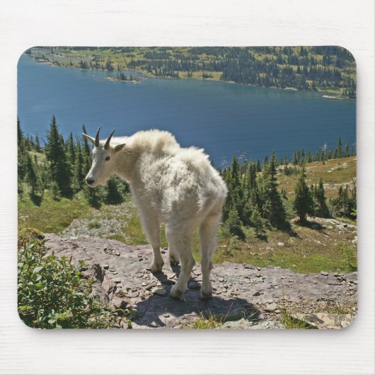 Bergziege im Glacier-Nationalpark Mousepad (Vorne)