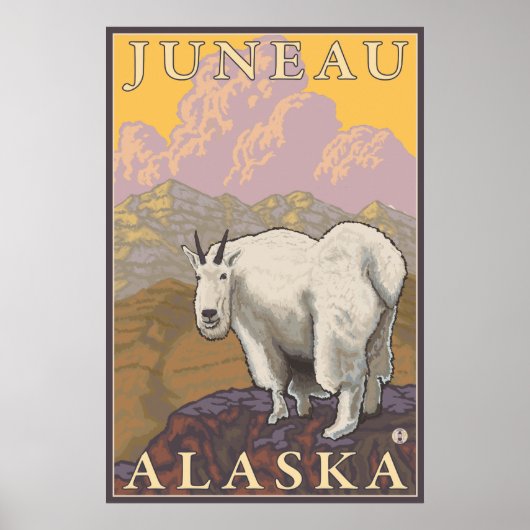 Bergziege - Juneau, Alaska Poster (Vorne)