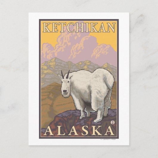 Bergziege - Ketchikan, Alaska Postkarte (Vorderseite)