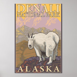 Bergziege - Nationalpark Denali, Alaska Poster