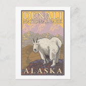 Bergziege - Nationalpark Denali, Alaska Postkarte (Vorderseite)