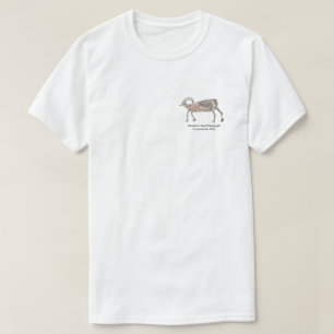 Bergziege Petroglyph T-Shirt