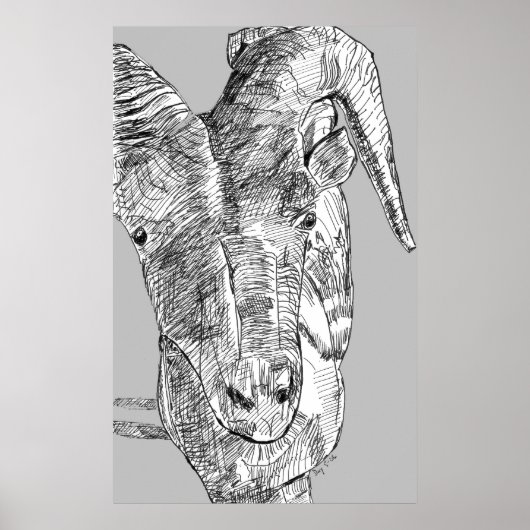 Bergziege Poster (Vorne)