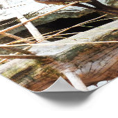 Bergziege Poster (Ecke)