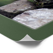 Bergziege Poster (Ecke)