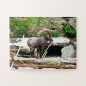 Bergziege Puzzle (Horizontal)