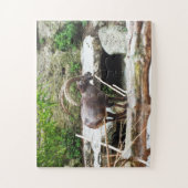 Bergziege Puzzle (Vertikal)