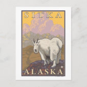 Bergziege - Sitka, Alaska Postkarte (Vorderseite)