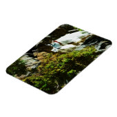 Bergziege und Abstrakter Impressionismus Magnet (Linke Seite)