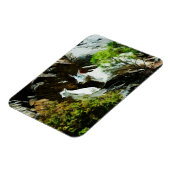 Bergziege und Baby Abstrakt Magnet (Linke Seite)