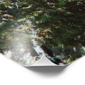 Bergziege und Kind - Naturfotografie Fotodruck (Ecke)