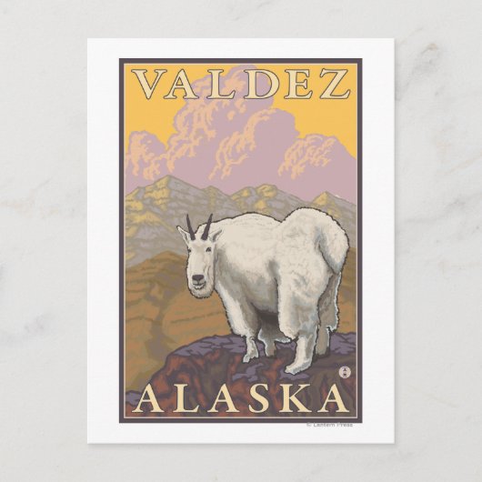 Bergziege - Valdez, Alaska Postkarte (Vorderseite)
