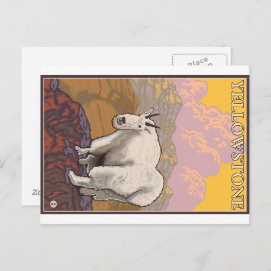 Bergziege - Yellowstone-Nationalpark Postkarte (Vorne/Hinten)