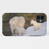 Bergziegen Case-Mate iPhone Hülle (Rückseite (Horizontal))
