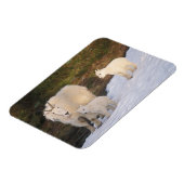 Bergziegen Magnet (Linke Seite)