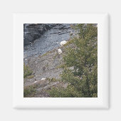 Bergziegen Magnet (Vorne)