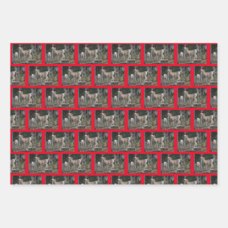 Bergziegen mit Hasen des Weihnachtsmanns für Chris Geschenkpapier Set