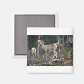 Bergziegen mit Weihnachtsmannmützen Magnet (Vorderseite/Rückseite)