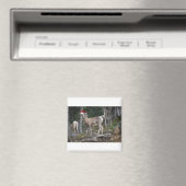 Bergziegen mit Weihnachtsmannmützen Magnet (In Situ (Geschirrspüler))