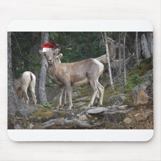 Bergziegen mit Weihnachtsmannmützen Mousepad (Vorne)