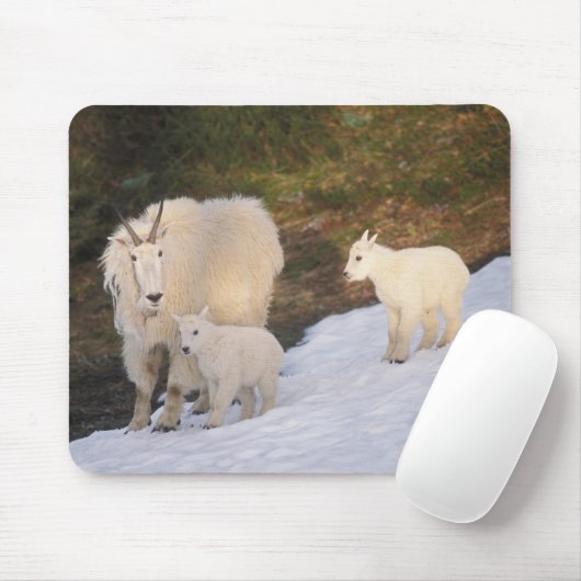 Bergziegen Mousepad (Mit Mouse)