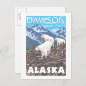 Bergziegen-Szene - Dawson, Alaska Postkarte (Vorne/Hinten)