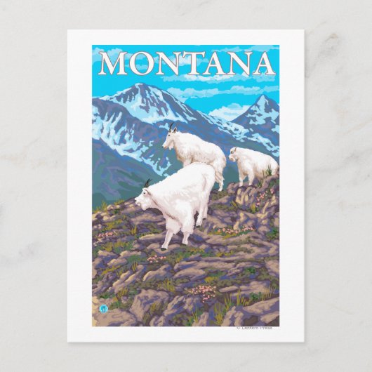 Bergziegen-Szene - Montana Postkarte (Vorderseite)