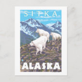Bergziegen-Szene - Sitka, Alaska Postkarte (Vorderseite)