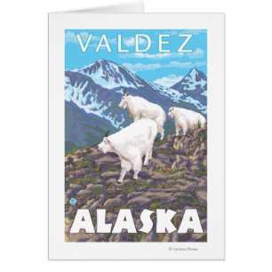 Bergziegen-Szene - Valdez, Alaska