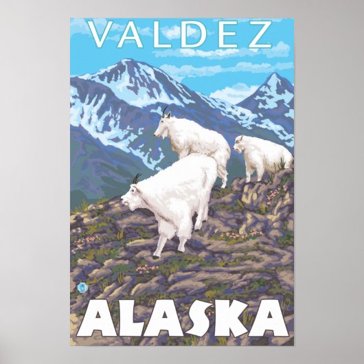 Bergziegen-Szene - Valdez, Alaska Poster (Vorne)