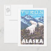 Bergziegen-Szene - Yukon, Alaska Postkarte (Vorne/Hinten)